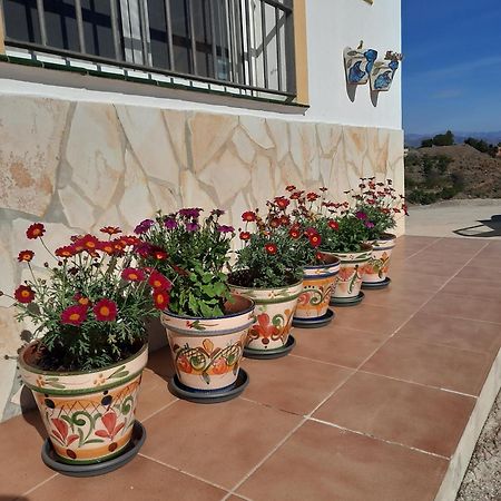 Casa Montana Velez-Malaga B&B מראה חיצוני תמונה