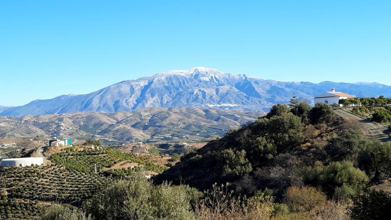 Casa Montana Velez-Malaga B&B מראה חיצוני תמונה