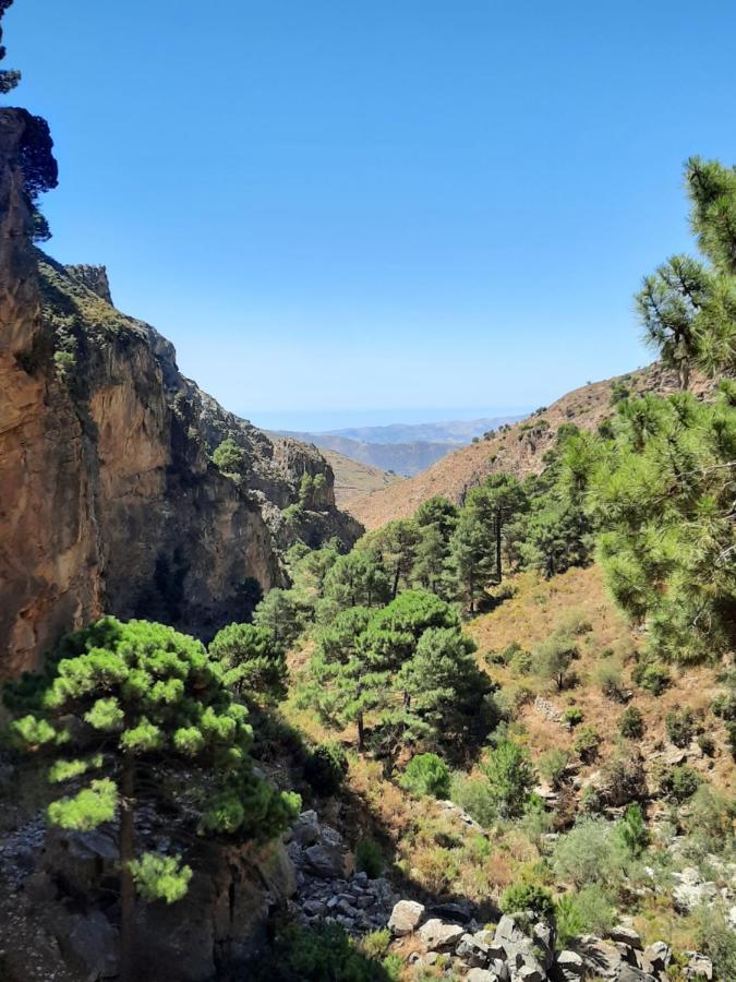 Casa Montana Velez-Malaga B&B מראה חיצוני תמונה