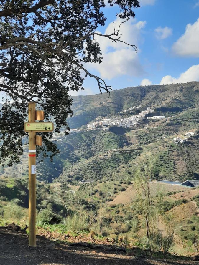 Casa Montana Velez-Malaga B&B מראה חיצוני תמונה