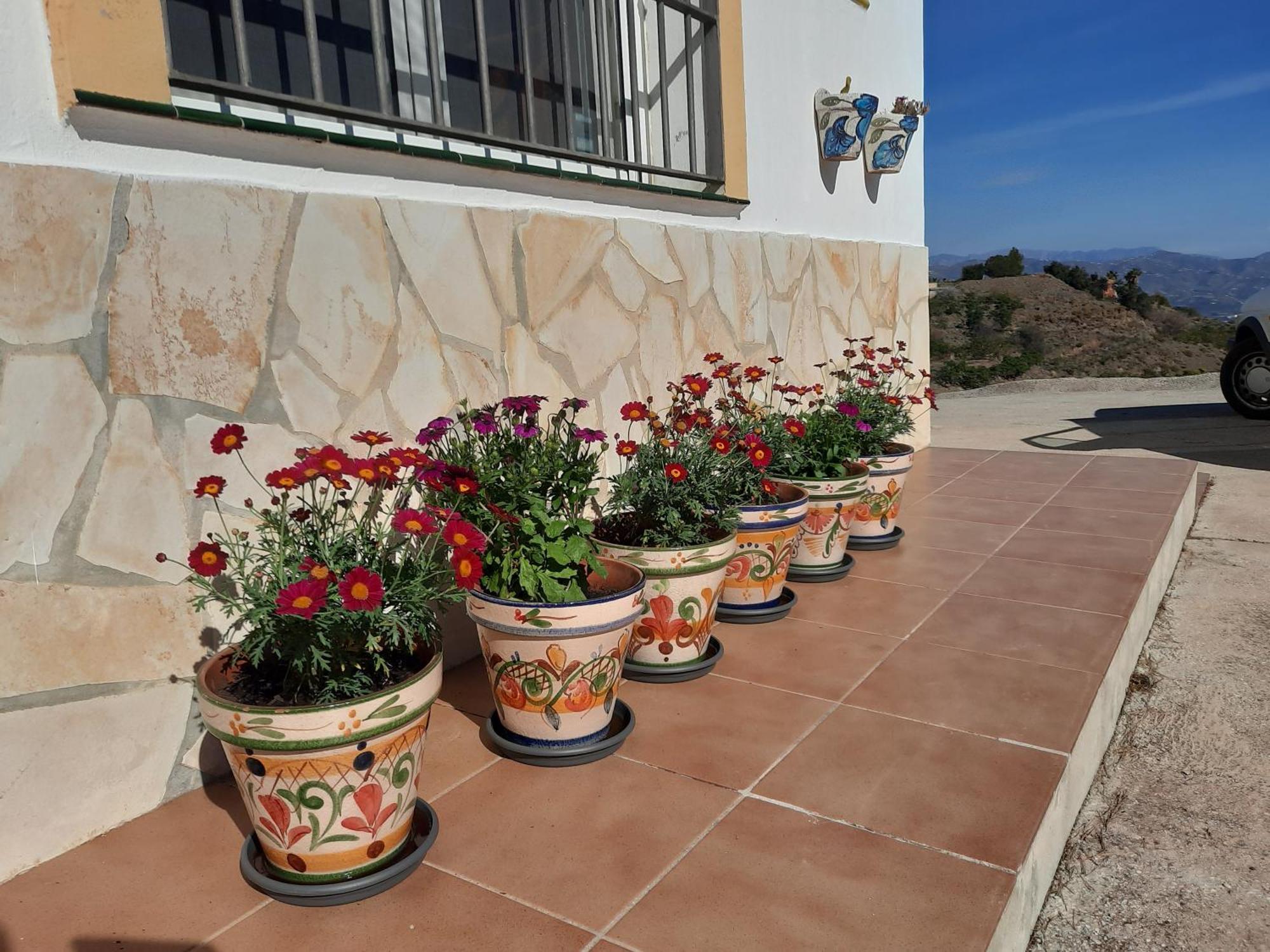 Casa Montana Velez-Malaga B&B מראה חיצוני תמונה