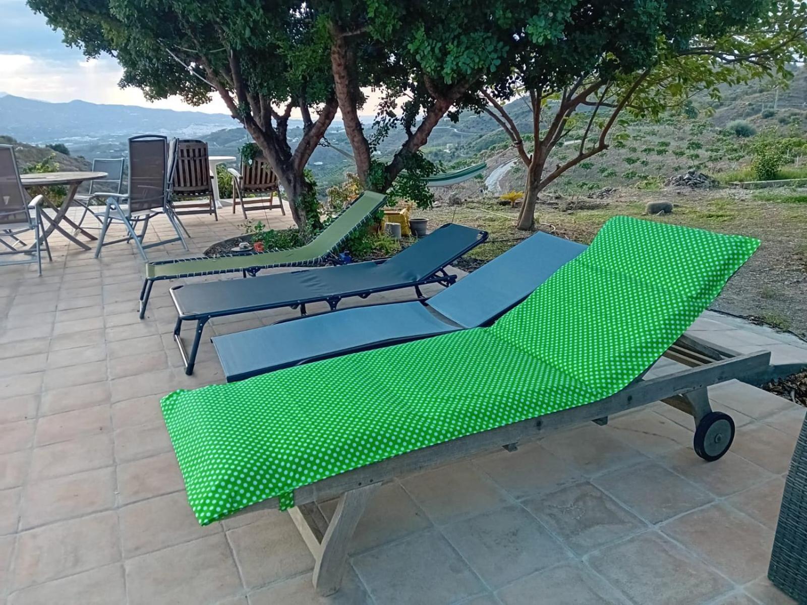 Casa Montana Velez-Malaga B&B מראה חיצוני תמונה